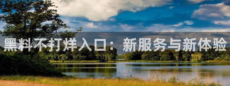 吃瓜什么意思：黑料不打烊入口：新服务与新体验