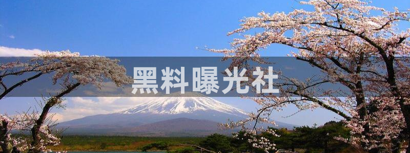 51吃瓜网ccgg：黑料曝光社