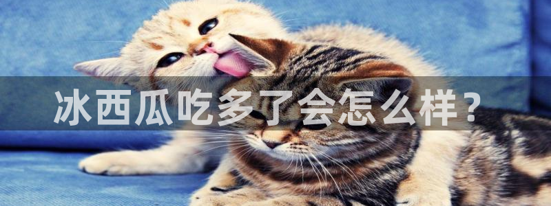 www.吃瓜.com：冰西瓜吃多了会怎么样？