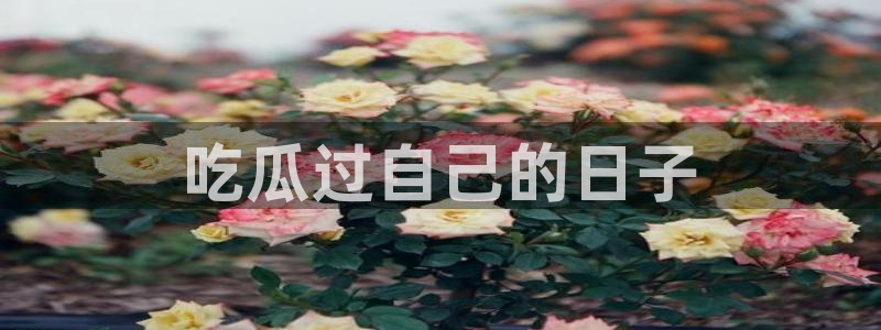 51吃瓜今日必吃刀刀：吃瓜过自己的日子