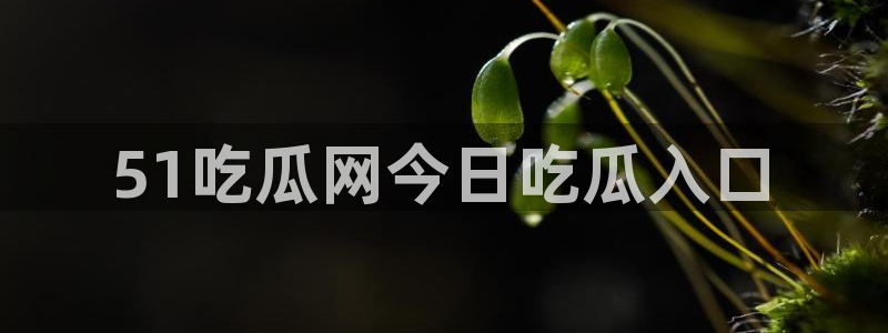 51吃瓜今日吃瓜必吃莫里秀