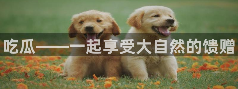 今日黑料：吃瓜——一起享受大自然的馈赠