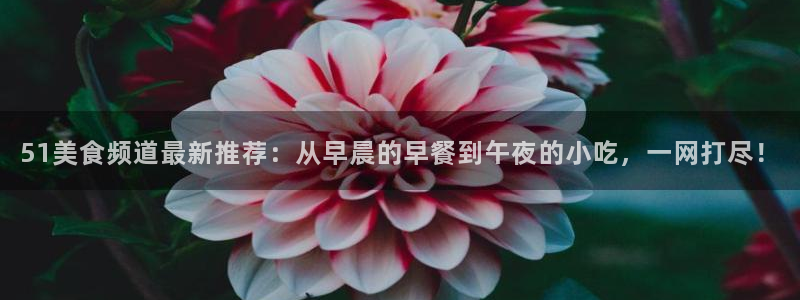 51吃瓜今日吃瓜最新网址：51美食频道最新推荐：从早晨的早餐到午夜的小吃，一网打尽！