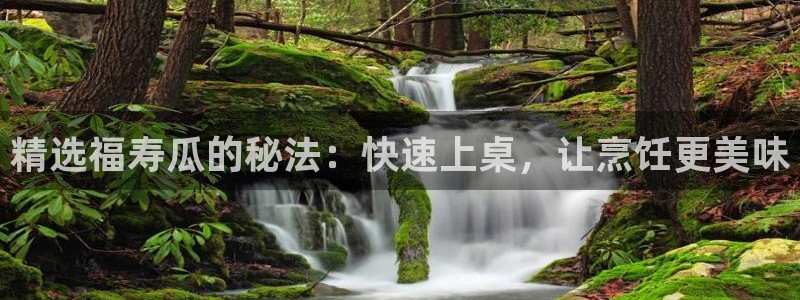 高血糖可以吃籽瓜吗:精选福寿瓜的秘法:快速上桌,让烹饪更美味