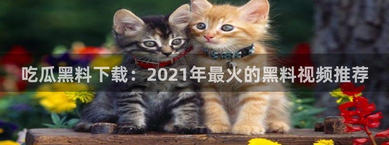 51吃瓜今日吃瓜入口：吃瓜黑料下载：2021年最火的黑料视频推荐