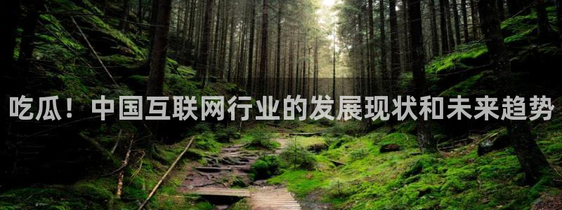 51吃瓜网张津瑜:吃瓜!中国互联网行业的发展现状和未来趋势