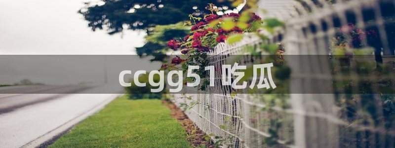 51吃瓜网张津瑜:ccgg51吃瓜